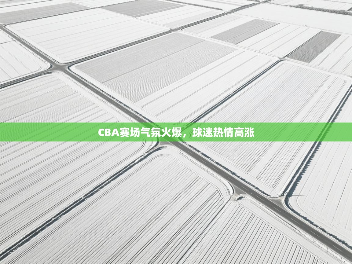 CBA赛场气氛火爆，球迷热情高涨